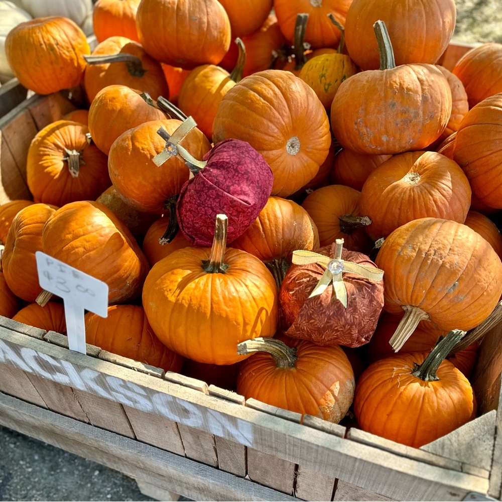 Pumpkin Decor - Picture 12 of 12